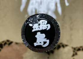 alt 3