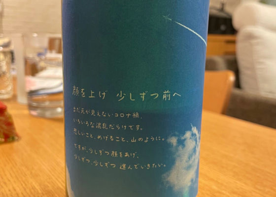 alt 1