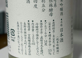 alt 3