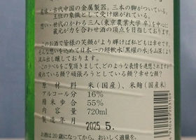 alt 3