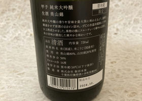 alt 3