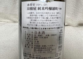 alt 4
