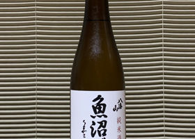 alt 1