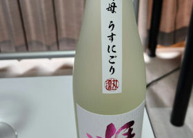alt 1