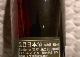 alt 3