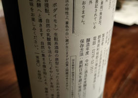 alt 3