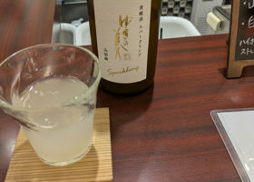 alt 1