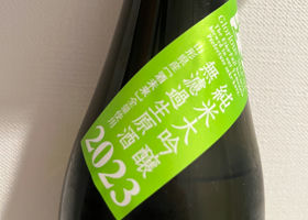alt 3