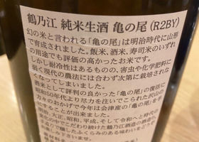 alt 2