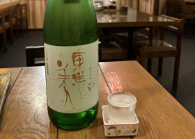 alt 1