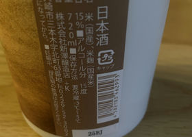 alt 3