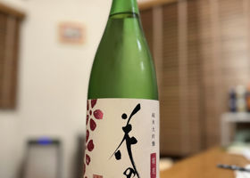 alt 1