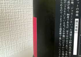 alt 3
