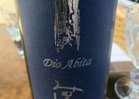 alt 1