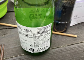 alt 3