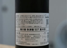 alt 3