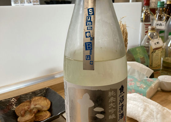 alt 1