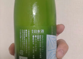 alt 1