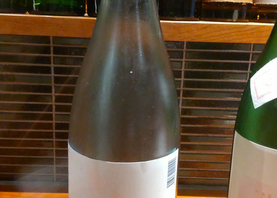 alt 1