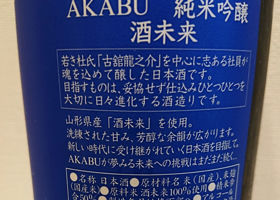 alt 3