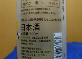 alt 3