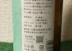 alt 3