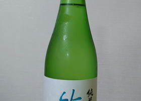 alt 1