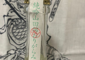 alt 3