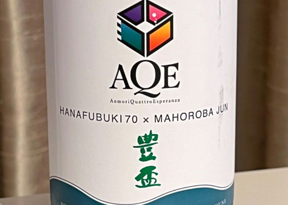 alt 1