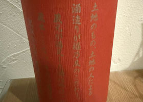 alt 3
