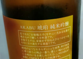 alt 1