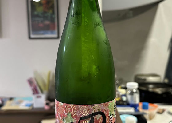 田酒 チェックイン 1