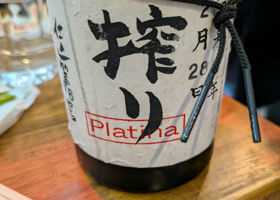 alt 3