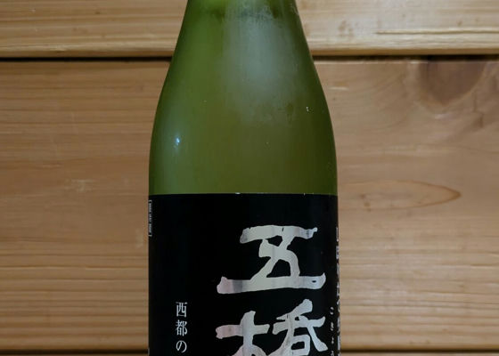 alt 1