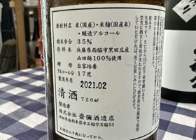 alt 3