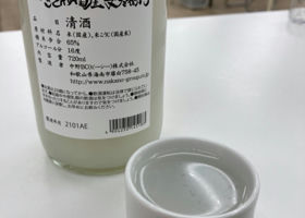 alt 2