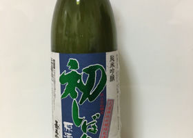 alt 1