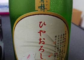 alt 1