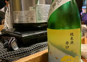 alt 3