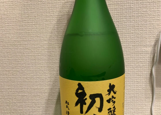 alt 1