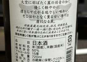 alt 2