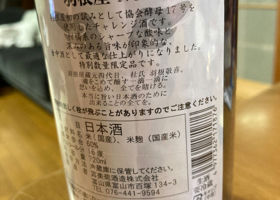 alt 3