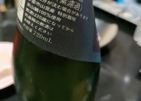 alt 3