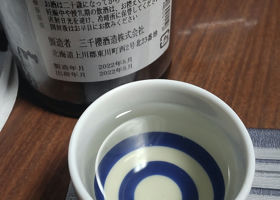 alt 2