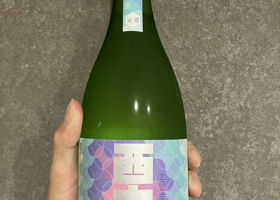alt 1