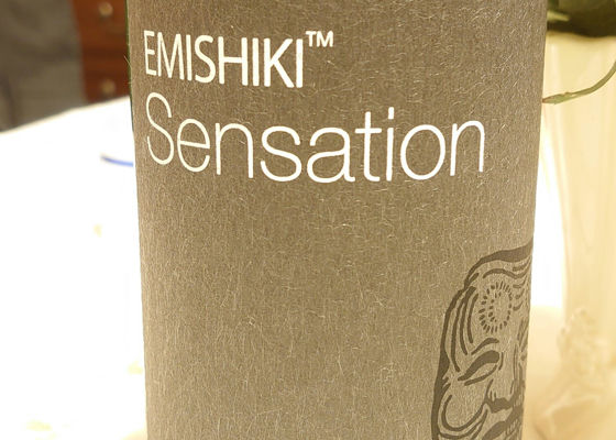 Emishiki 签到 1