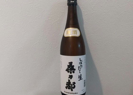 桑の都