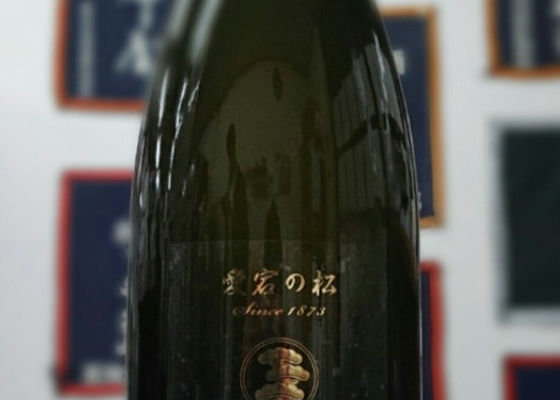 alt 1