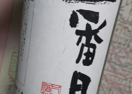 alt 1
