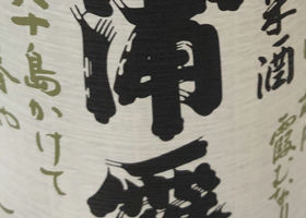 alt 1